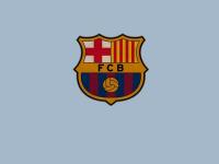 FB体育APP-韩国队轻取印尼队展现团队统治力，辛杜状态火热成单项焦点